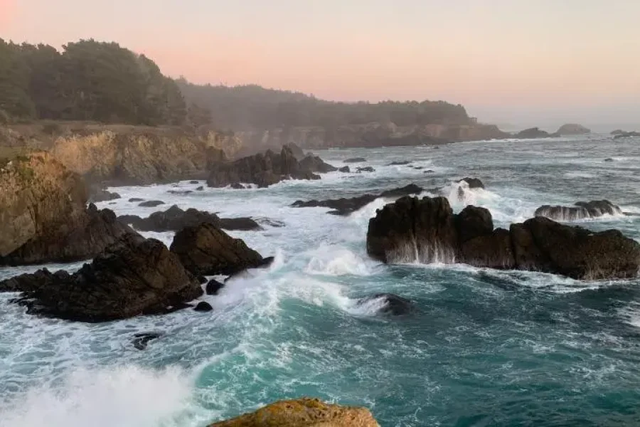 Discover the Best of California Coastlines and Vineyards