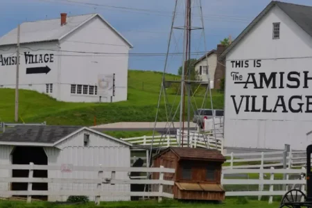 Experience Christmas Magic on an Unforgettable 2-Day Amish Farm Tour & Polar Express Ice Sculpture Adventure from New York