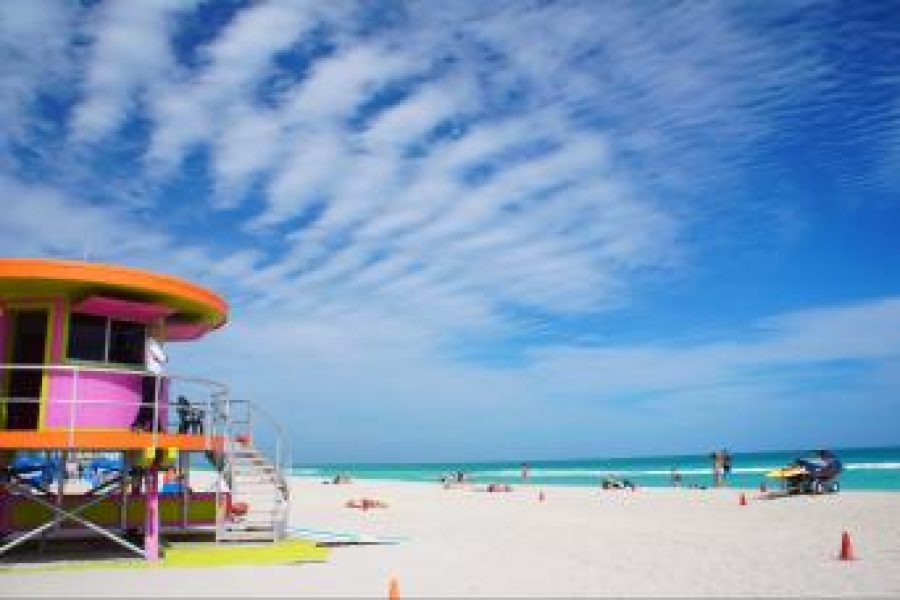 Discover the Vibrant City of Miami: A Tour Like No Other