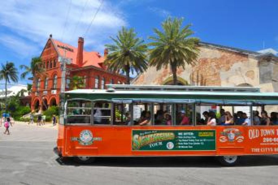 Escape to Paradise: Key West Day Trip from Miami