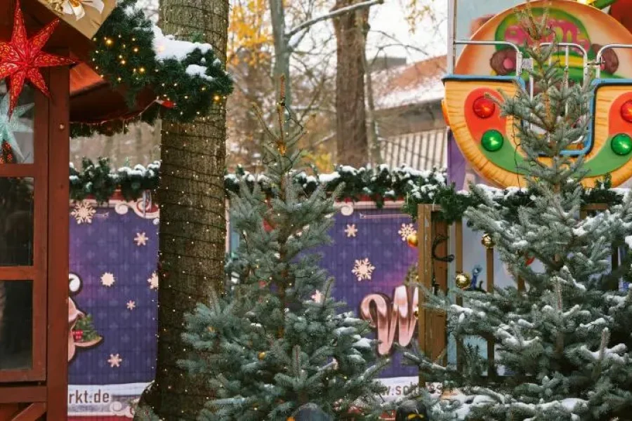 All Aboard for a Magical Christmas: 1-Day Polar Express Ice Sculpture Tour from New York