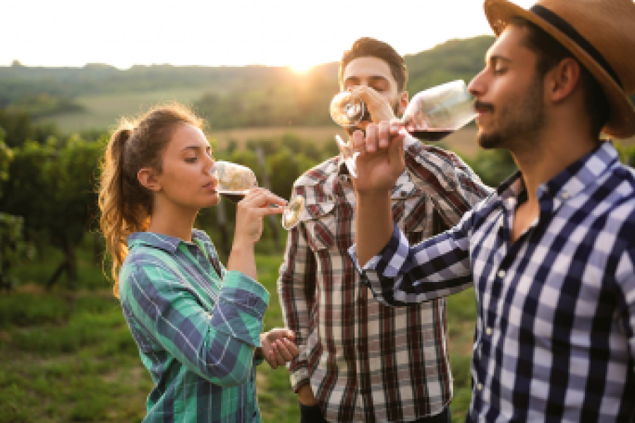 1-Day Deluxe Sonoma & Napa Valley Wine Country Tour