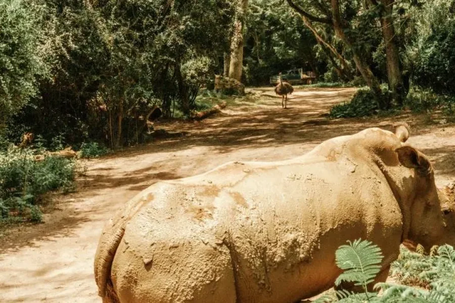 Unleash the Fun: 8-Day Orlando Theme Parks Tour from Miami