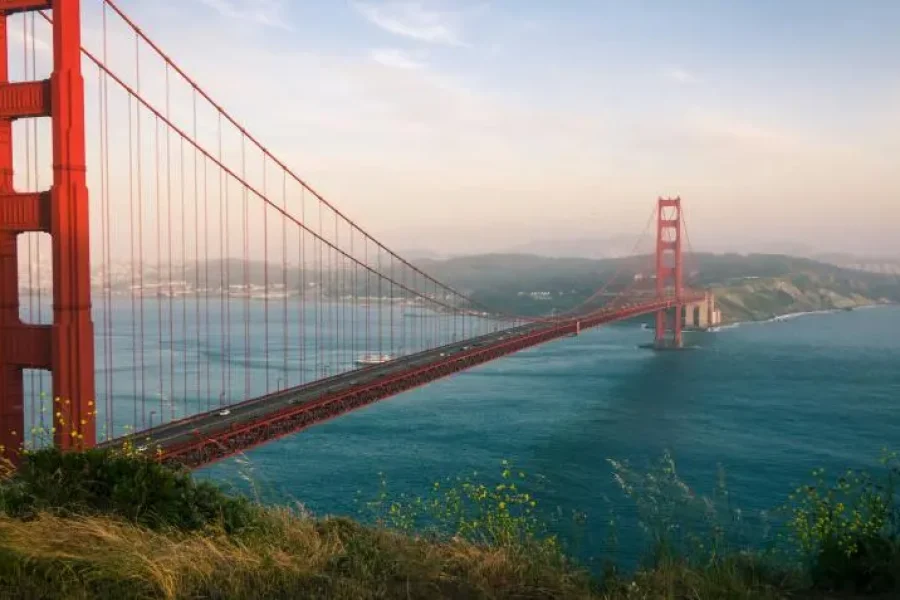 1-Day Morning Guided City Tour of San Francisco